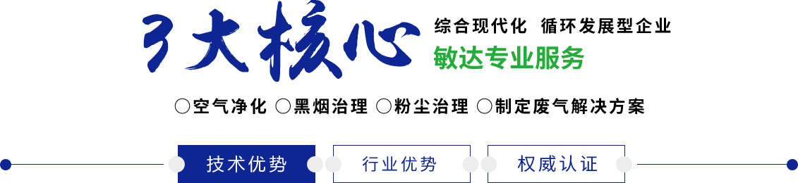 日本淫秽色视频在线播放敏达环保科技（嘉兴）有限公司